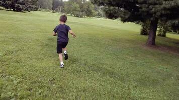 A little boy runs quickly across the grass falling and lying in a happy mood on a summer sunny day video