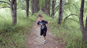 retrato. un contento hermosa pequeño chico corriendo mediante el parque a el y saltando y sonrisas con felicidad en un verano soleado día video