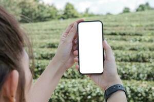 mujer con smartphone. teléfono móvil de pantalla en blanco para montaje de visualización gráfica. foto