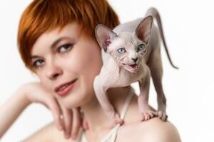 Canadian Sphynx Cat stands in defensive posture and meows on shoulder of redhead young woman. Selective focus on kitten, shallow depth of field. Studio shot on white background. Part of series. photo