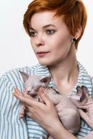 Beautiful redhead young woman hugging Sphynx Cat and looking away. Studio shot on white background. Portrait of hipster with short hair dressed in striped white-blue casual shirt. Part of series. photo