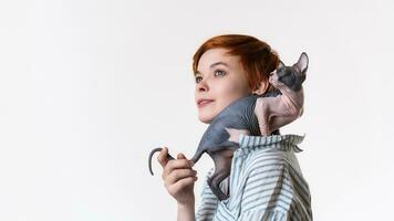 sonriente pelirrojo joven mujer con canadiense sphynx gato sentado en su hombro. retrato de hipster vestido en a rayas blanco azul camisa. estudio Disparo en blanco fondo, Copiar espacio. parte de serie. foto