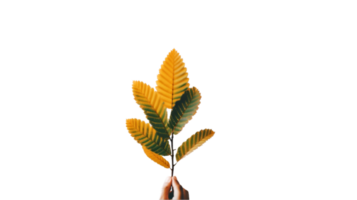 AI generated hand holding a leaf on a transparent background png