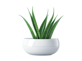 ai généré aloès Vera plante dans une pot sur une transparent Contexte png