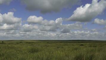 verano paisaje con campo de hierba, azul cielo. verde césped campo paisaje con fantástico nubes en el antecedentes. genial verano paisaje foto