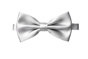 AI generated Silver Bowtie Style on a transparent background. png