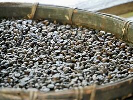 Texture of coffee beans, beans slices of green leaves. beautiful light, vigor of coffee beans, among coffee bushes, Roasted coffee beans on old wooden table photo