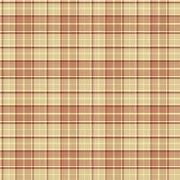 Seamless pattern of plaid. check fabric texture. striped textile print.Checkered gingham fabric seamless pattern. Vector seamless pattern.