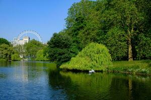 Beautiful summer wheather in the park with pond and London eye in the background. St Jame's Park, London. photo