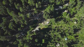 parte superior ver de cámping pueblo en verde bosque. acortar. pequeño asentamiento de turistas con carpas en denso verde bosque. viajeros durante pandemia preferir a En Vivo en bosque en carpas foto