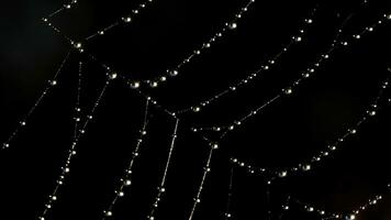 Spider web in macro photography. Creative. A thin spider web with dew droplets that stretches and shakes photo