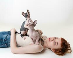Two thoroughbred kittens looking up, sitting on redhead young woman lying on her back on white background. Pretty woman with short hair wearing T-shirt and blue jeans. Part of series. Selective focus photo
