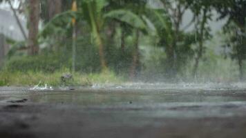 vídeo do chuva dentro a manhã dentro frente do uma loja, procurando abrigo enquanto esperando para a chuva. video