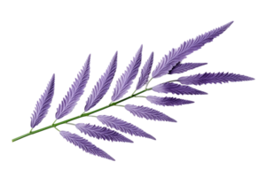 AI generated Lavender Leaf Elegance on transparent background. png