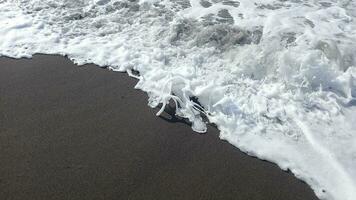 blanco olas a el playa. ola movimiento a costa. cerca arriba ver de ola descanso arriba en el orilla. foto