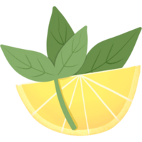 Zitrone geschnitten Zitrusfrüchte Früchte. Karikatur Symbol png