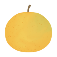 naranja dibujos animados icono. mano dibujado acuarela stlye png