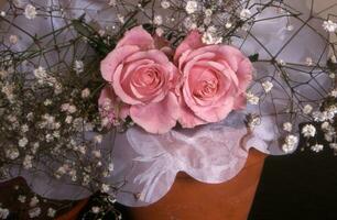 a flower pot with two pink roses in it photo
