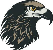 head of a hawk or eagle or griffin without background vector