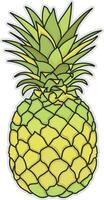 pineapple, ananas, fruit vector