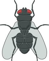 vector fly without background