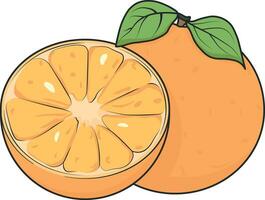 vector drawing orange or tangerine without background