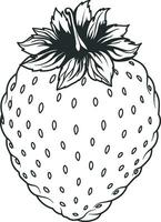 strawberry vector illustration without background