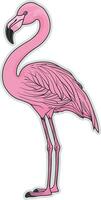 Pink flamingo bird without background vector