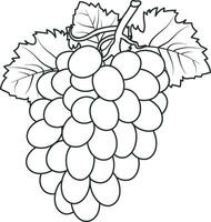 bunch of grapes vector