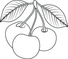 cherry with leaves vector