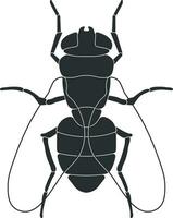 vector fly without background