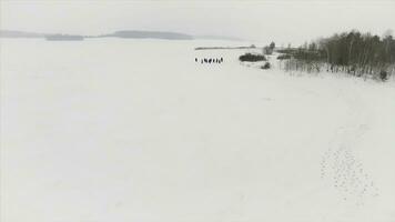 Group of trekkers on snow trail in the forest. Footage. A group of tourists and dog on a winter walk in the winter forest path photo