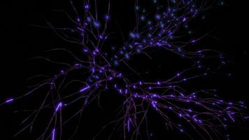 3d neural network with electrical impulses. Design. Neural branches with fast glowing pulses on black background. Simple illustration of neural impulses in brain photo