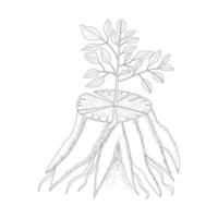 tree sketch vector design