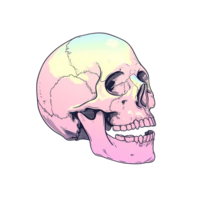 AI generated Skull art illustrations soft color for stickers, tshirt design, poster etc png