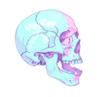 AI generated Skull art illustrations soft color for stickers, tshirt design, poster etc png