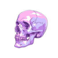 AI generated Skull art pastel color illustrations for stickers, tshirt design, poster etc png