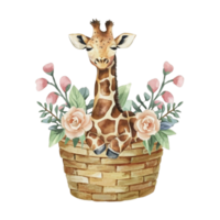 ai generiert Aquarell Giraffe im Korb mit Blumen und Blätter png herunterladen