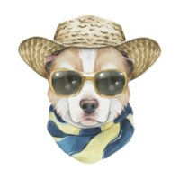 AI generated Cute dog Wear sun protection png