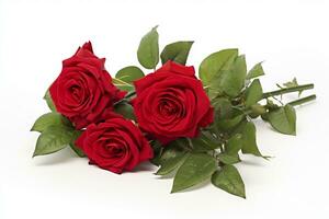 AI generated three velvety red roses, arranged diagonally on a crisp white background photo