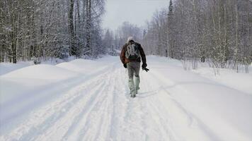 viaje y excursionismo a lo largo el bosque camino en invierno estación. acortar. joven hombre caminando en bosque participación cámara - concepto de aventura, trekking y estacional vacaciones con posterior ver de turista en sendero foto