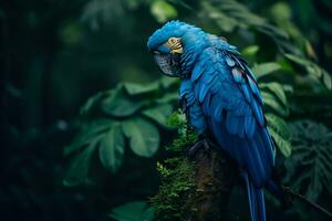 ai generado grande azul ara ararauna en el oscuro verde bosque foto