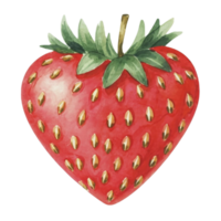 ai generiert Erdbeere Obst Süss png