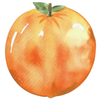 AI generated Healthy Fruit Organic png