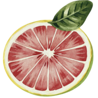 ai generado sano Fruta orgánico png