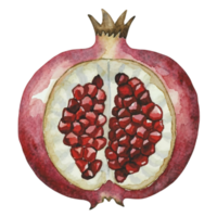 AI generated Healthy Fruit Organic png