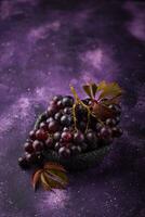 Purple grapes on violet background photo