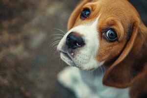 ai generado fotografía de un linda perro, nacional perrito día concepto foto