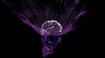 3D skull with brain illumination. Design. Bright neon brain with glow on black background. Neon animation of skull with brain photo