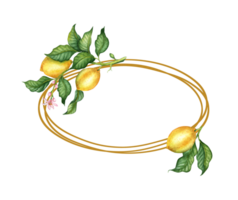 Oval frame Lemons are yellow, juicy, ripe, with green leaves, flower buds on the branches. Isolated watercolor botanical illustration. Delicious food for design, print, fabric, background, png